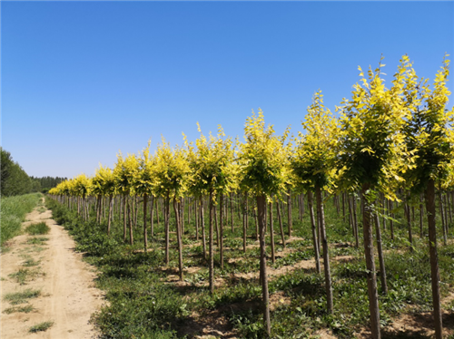 Current News Tracking the transition to a decarbonised digitised and